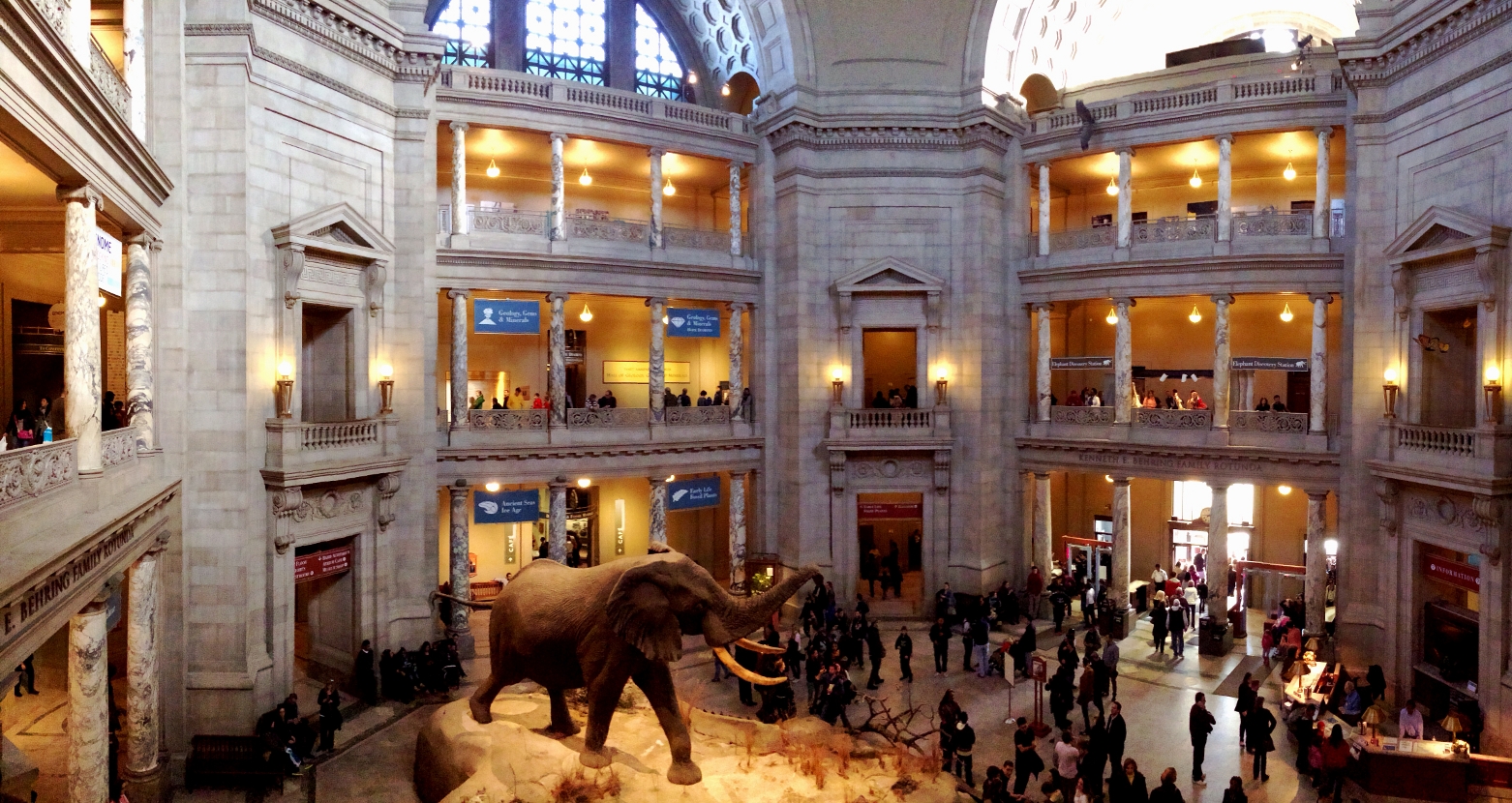 https://www.yizuo-media.com/albums/albums/userpics/10003/American_Museum_of_Natural_History.jpg