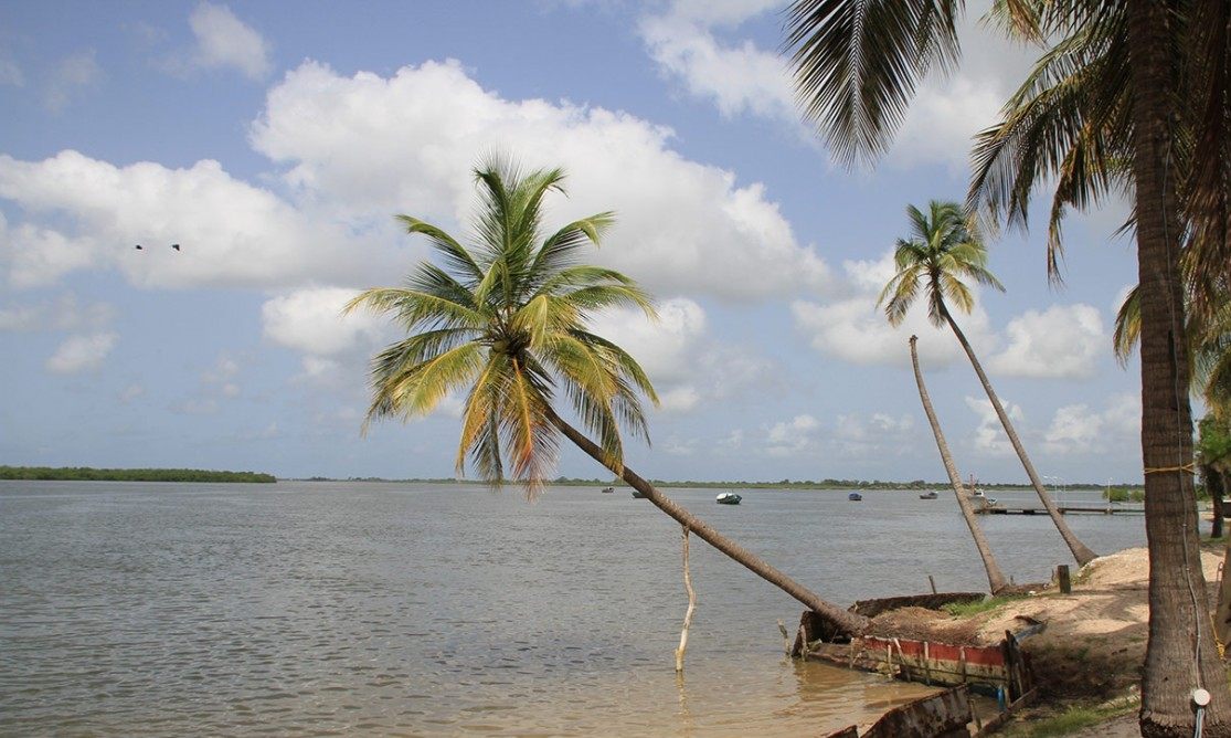 /assets/contentimages/Casamance_Fleuve.jpg