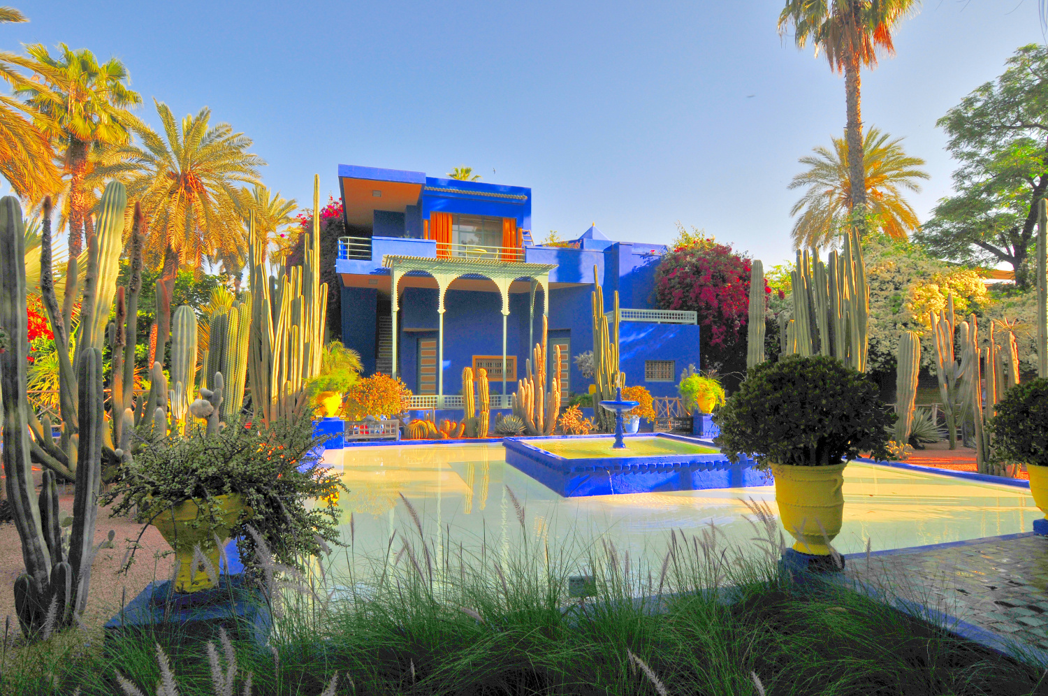 http://www.net4info.de/photos/cpg/albums/userpics/10002/Jardin_Majorelle.JPG