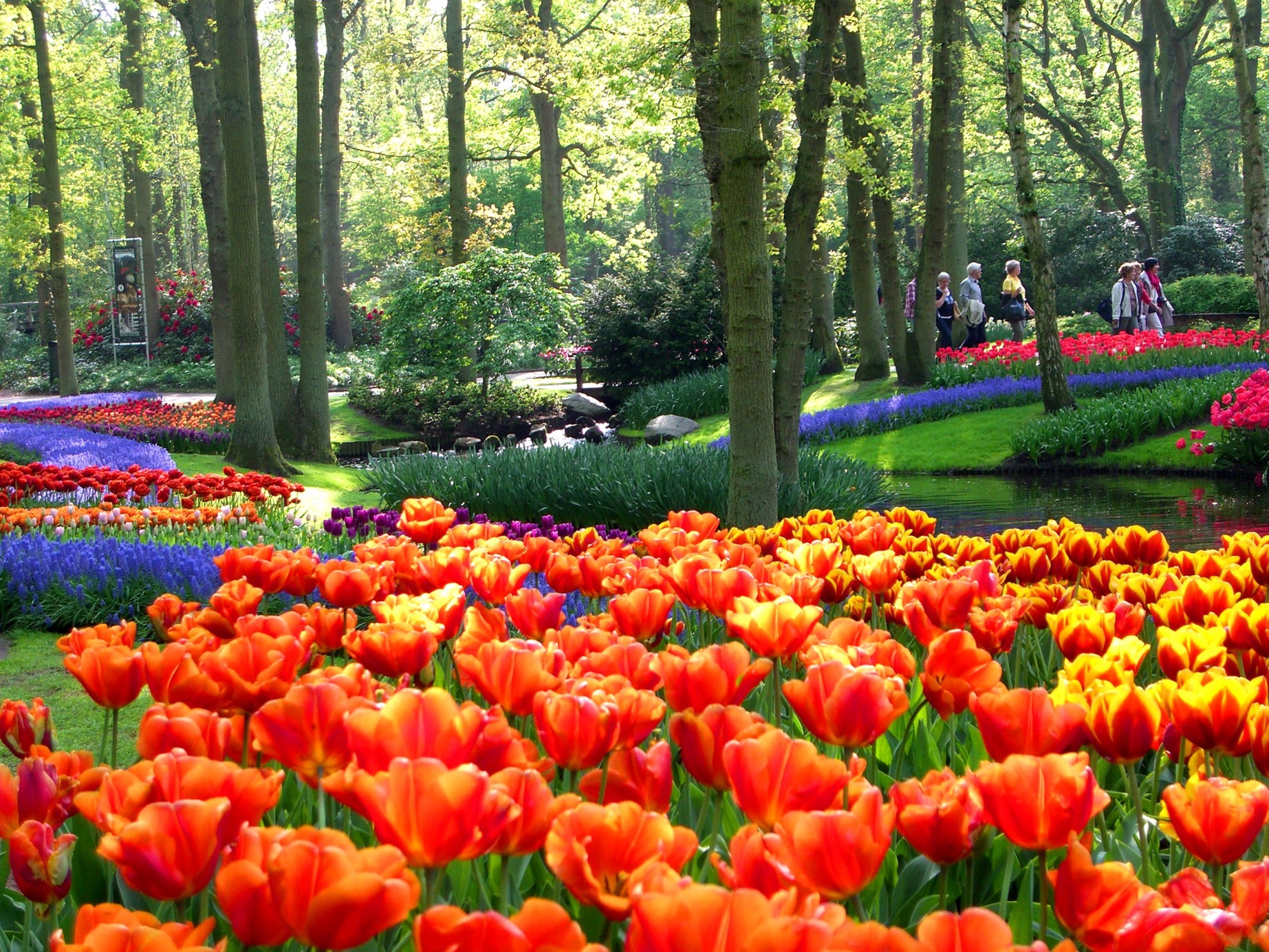 https://www.yizuo-media.com/albums/albums/userpics/10003/Keukenhof~0.jpg