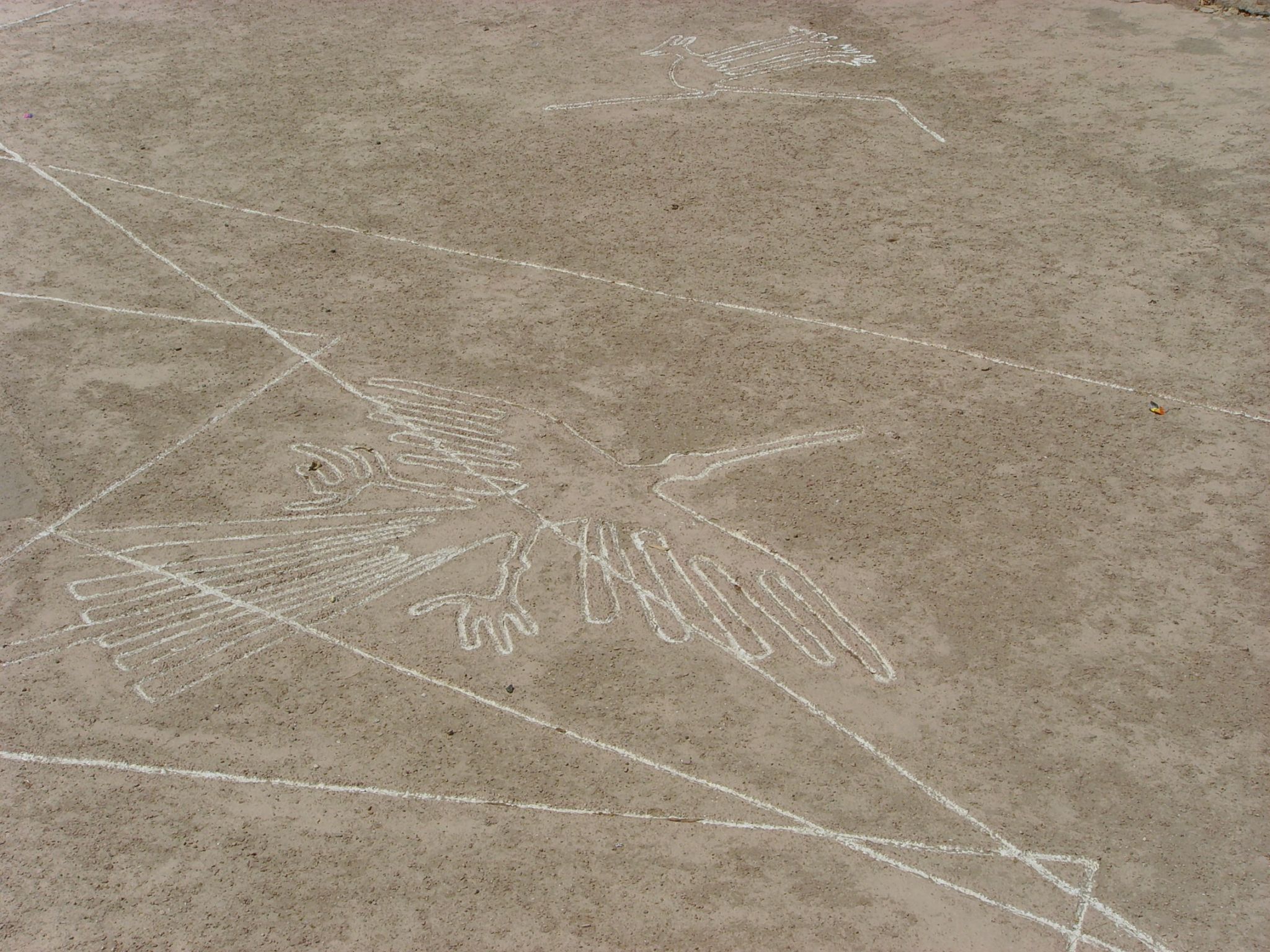 http://www.net4info.de/photos/cpg/albums/userpics/10001/Nazca-Linien.jpg