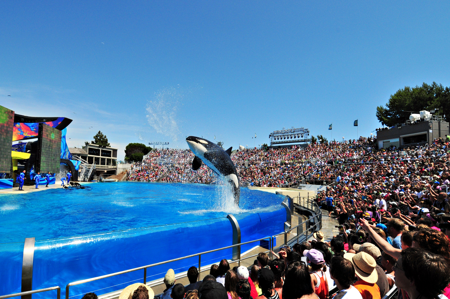 /assets/contentimages/SeaWorld_San_Diego.jpg