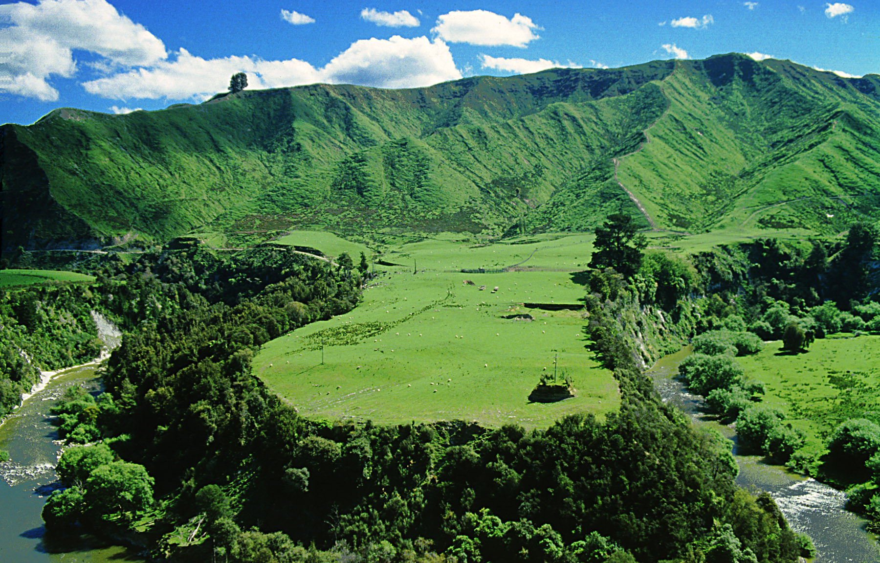 /assets/contentimages/Whanganui_National_Park.JPG