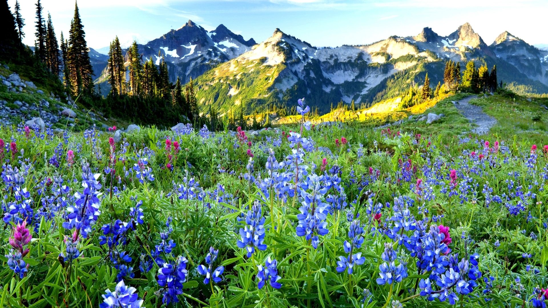 /assets/contentimages/alpen_gebirge.jpg